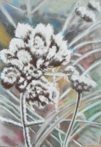 Frost on Verbena, Pastel on Velour